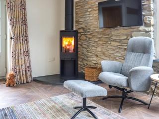The Mill - Llandissilio - 4
