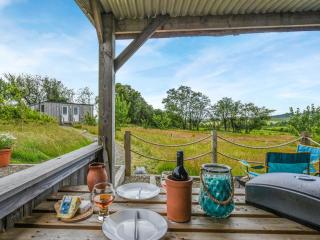 The Owl Pod - Uk50070 - Welshpool - 4