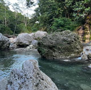 Beautiful Tropical Eco Cabin with Private River - Kupuis - 3