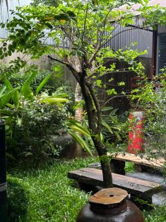 Cat Homestay - 9