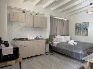 Casita Almendro-Apartment With Heated Pool - San German - 6