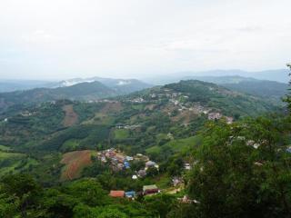 101 Tea Green View - Mae Salong - 2