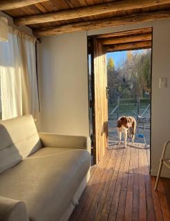 Tiny House 3Pax - Ciudad Lujan de Cuyo - 5