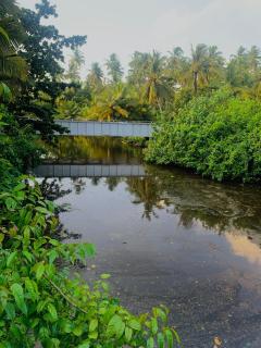 The Curry Lodge - Thimbiriya - Habaraduwa - 2