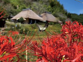 男ノ子焼の里 - 2