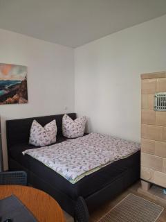 Ferienwohnung ab sofort - Wolgast - 1