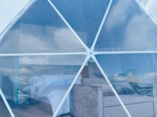 GEO Dome - Flatonia Glamping Retreat & RV Resort - Flatonia - 8