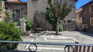Les Coucous - 1