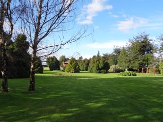 Cabañas Río Pescado - 1