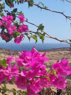 Cycladic Horizon View - Ano Syros - 9