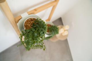 DIMORA CATERINA - Suite Apartments & Sea View - Mola di Bari - 3