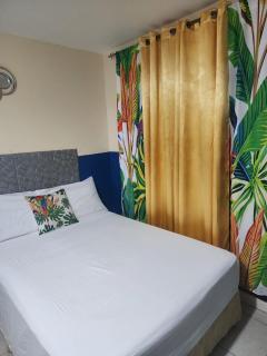 Pearl of the City TROPICAL PEARL - Kingston - 9