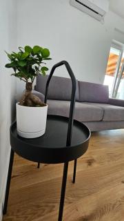 Apartments Jonke - 8