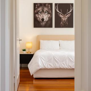 3BR Glebe Retro Jungle Escape Near Darling Harbour - Sydney - 9