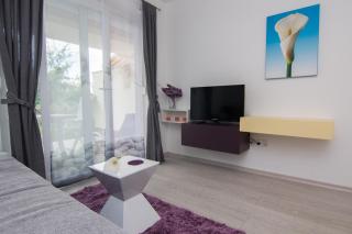 Apartments Ljubica - 1