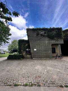Ter Loft Courgette - Ternat - 8