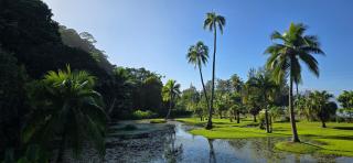 Tahiti Kalihi Lodge - - 1