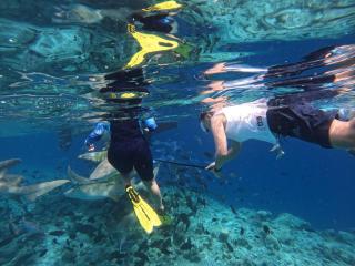 LVM Bodufolhudhoo - 1