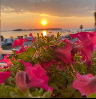 GoodStay Skyline Porto Cesareo Apartment - Porto Cesareo - 0