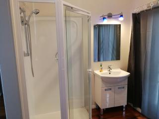 Central Spacious House With Backyard And Patio - Palmerston North - 1
