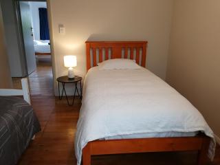Central Spacious House With Backyard And Patio - Palmerston North - 3