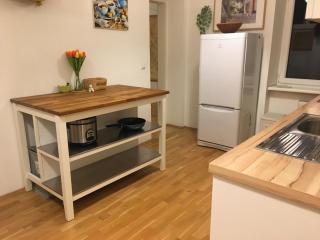 Gemütliche ruhige Altbauwohnung Nähe Hauptbahnhof und City - 3