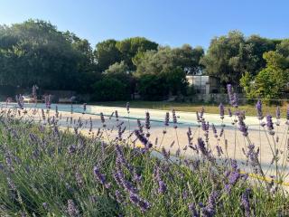 3 pièces au dernier étage dans bastide grassoise - Grasse - 6