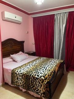 فيلا دوبلكس بحديقه خاصه فى مارسليا بلو باى اسيا السخنه - 8