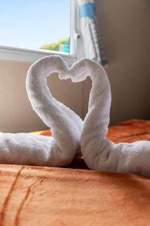 Hillside Splash Retreat - Cheriton Bishop - 5