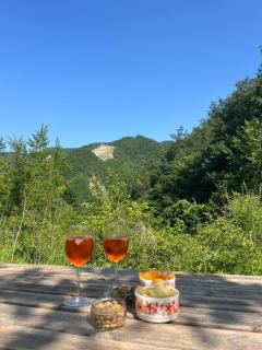 Vegan bed and breakfast Colle della luna - Borgo Pace - 1