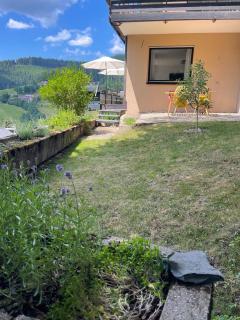 Tal und Tanne direkt am Walrand und den Tonbach Wanderwegen - Baiersbronn - 6