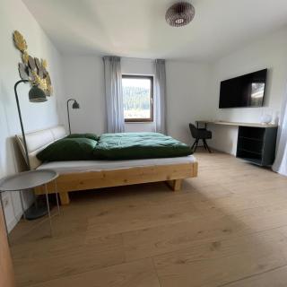 Tal und Tanne direkt am Walrand und den Tonbach Wanderwegen - Baiersbronn - 3