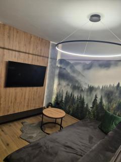 APARTAMENT Z PRYWATNYM GARAŻEM NARCIARSKA 14h - 6