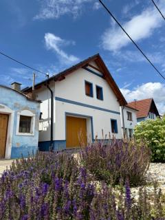 Apartmán U Bystřických - Bořetice - 9