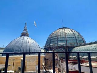 Seagulls House in the Heart of Naples Via Toledo - 0