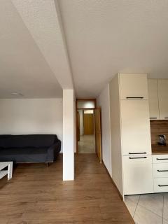 Apartmani Vikalo (trosoban stan) - Tuzla - 2