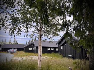 Hytte på Norefjell - 1