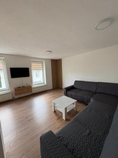 Apartmani Vikalo (trosoban stan) - Tuzla - 9