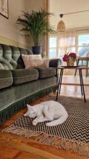 White Hill's Nest - 8