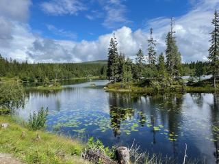 MYLLA - New cabin - Sauna - Hike - Bike - Canoe- Fishing - Jevnaker - 1