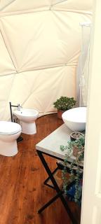 Lunaria Manziana - Sambuco - 1