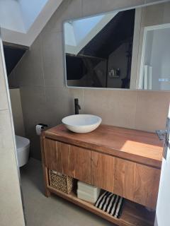 Duplex sous les toits d'Alsace - Dannemarie - 5
