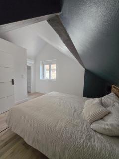 Duplex sous les toits d'Alsace - Dannemarie - 1