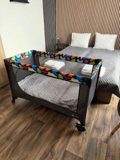 Apartmán Pardubice - Pardubice - 6