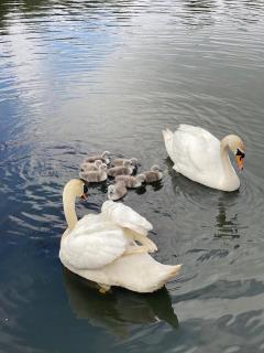 Lake View Lincoln - Skellingthorpe - 1