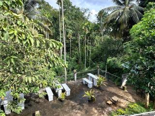 Ceylon Chill Bunks - Ampitiya - 8