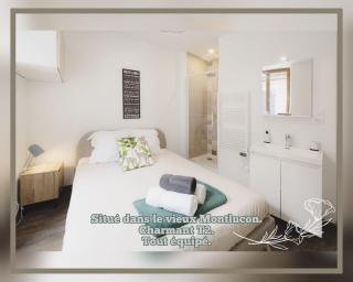 T2 cosy avec terrasse privée à Montluçon - 9