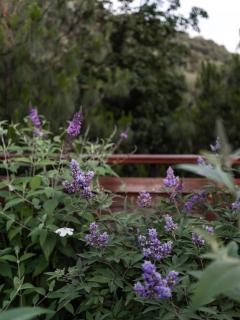 Rediscover Mountain Lodge - Nanshan, Chongqing - Chongqing - 7