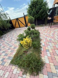 Art House - 5
