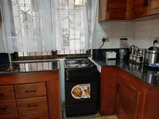 Njiro Apt with Free Pool - Arusha - 3